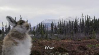 Alone S13E05-HDTV-X264-NGP
